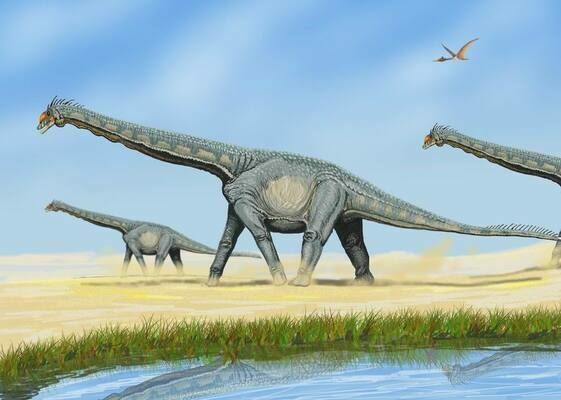 Artists reconstruction of Alamosaurus.  By Bogdanov   GNU Free Documentation License